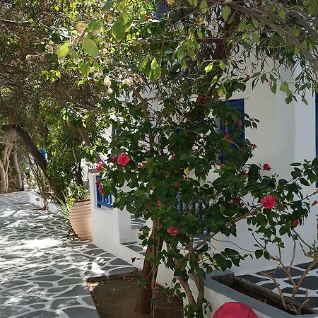 Akrogiali Platis Gialos (Sifnos)